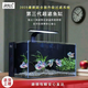 呆寵兒超白背濾魚缸自循環(huán)懶人造景缸小型客廳生態(tài)桌面金魚缸水草缸 BL60*35*30加厚8mm全光譜燈Pro 呆寵兒金晶超白+黑玻背景板 一體成型干濕分離盒+一體成型過濾盒