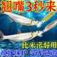 魚(yú)誘翹嘴亮片路亞餌假餌野釣翹嘴白條微物遠投水蛭亮片釣魚(yú)神器黑科技 銀色 一個(gè)【3g】