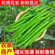 [發(fā)順豐】新鮮現摘青辣椒線(xiàn)二荊條尖椒細長(cháng)線(xiàn)椒辣椒泡椒批發(fā)蔬菜 青線(xiàn)椒順豐發(fā)貨 5斤