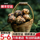 智田喜雅江松茸新鮮高品質(zhì)未開傘松茸菌菇野冷鏈空運(yùn)多地次日達(dá)生日送禮 未開傘松茸5-6cm 凈重 500g