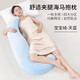 浪莎（langsha）床上抱枕睡覺(jué)孕婦夾腿長(cháng)條大抱枕男女生款睡覺(jué)專(zhuān)用大號玩側睡靠枕 寶寶絨-升級款天藍【記憶棉填充】 45cm*115cm 含枕芯 【成人款】