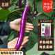 北蔬 線茄茄子種子種苗長茄杭茄早熟四季蔬菜種籽 北蔬紫線茄種子50粒