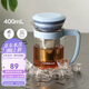 樂扣樂扣（LOCK&LOCK）玻璃泡茶杯組合杯茶水分離帶把手男女杯子 400mL藍(lán)色LLG972BLU