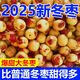 【果園直發(fā)】山西特級冬棗新鮮水果脆甜紅棗特級冰糖冬棗現摘先發(fā) 泡沫箱彩箱冬棗4斤裝 老樹(shù)采摘：手工精選