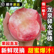 正宗四川龍泉驛水蜜桃3斤新鮮現(xiàn)摘脆甜桃子孕婦寶寶水果順豐包郵R 帶箱精選果+泡沫托包裝 3斤（8-12個）【順豐速運】
