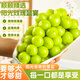 京地達葡萄陽光玫瑰葡萄晴王香印凈重4.8斤單果均12g+新鮮水果源頭直發(fā)