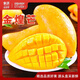 閩農(nóng)語果金煌芒新鮮現(xiàn)摘現(xiàn)發(fā)應(yīng)季時令熱帶孕婦新鮮采摘皮薄金煌芒 【單果200g+】 5斤商超 | 凈重4.5斤