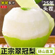 京地達(dá)碭山梨翠冠梨 凈重9斤單果250g新鮮梨子皇冠梨青皮梨源頭直發(fā)包郵