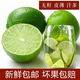田果匠皮薄無籽檸檬（現(xiàn)摘現(xiàn)發(fā)）泰國品種青檸檬香水榨汁鮮果奶茶店專用 1斤