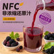 妃凡NFC桑葚汁 100%鮮果冷壓榨 0脂0添加 非濃縮還原 清爽解膩 260g*8瓶 NFC 100%桑葚汁