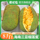 譯優(yōu)農(nóng) 海南榴蓮蜜三亞特產(chǎn)新鮮熱帶水果軟糯香甜濕苞巴掌榴蓮菠蘿蜜 凈重2-3斤【1顆果】嘗鮮裝