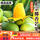 金嬸園四川攀枝花椰香芒果當(dāng)季新鮮水果帶箱9斤核薄肉厚椰奶香芒送禮 3斤大果（約6-9個）單果150-300g