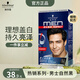 施華蔻男仕染發(fā)劑3.0棕黑色(男士專用染發(fā)劑染發(fā)膏 染黑蓋白發(fā) 【男士專用】2.0自然黑