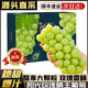 甜萌果蔬陽光玫瑰葡萄【順豐多地次日達(dá)】晴王香印提子新鮮水果中秋禮盒 5斤A+級精品果【單果約8-12g】凈重4斤 品質(zhì)果【高性價比】