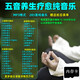 內存卡】五音音樂(lè )五音療法五臟療愈音樂(lè )靜心舒緩養生MP3音頻tf卡 285首五音療愈純音樂(lè )MP3-8G+目錄