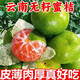 青皮橘子特早熟云南蜜橘桔子新鮮水果斤當(dāng)季青皮桔子無(wú)籽孕婦整箱 凈重5斤【精品果】