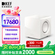 KEFKC92大功率有源超低音揚聲器家庭影院低音炮專(zhuān)業(yè)音響一只 白色
