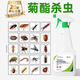 皎潔除蟲(chóng)菊酯菊酯類(lèi)殺蟲(chóng)劑擬菊脂類(lèi)家用室內(nèi)非無(wú)毒噴霧高效氯氰氟菊酯 1瓶