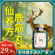 仙養(yǎng)方鹿肝丸鹿筋丸地黃雙參鹿耳丸【官方正品】 【5瓶周期裝】鹿筋丸
