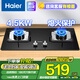 海爾（Haier）燃?xì)庠?一級能效家用5.2KW大火力 瞬燃點火熄火保護 家用天然氣灶雙灶灶具臺嵌兩用可調(diào)節(jié)底殼灶臺 【4.5KW-天然氣】勻火藍(lán)焰Q2BE52-全國