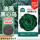 北蔬 烏塌菜種子種苗冬寒菜耐寒黑菜秋冬蔬菜種籽 油亮黑心烏種子20g