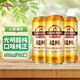 青島啤酒（TsingTao）光明啤酒超純7.5度罐裝聽(tīng)裝 500mL 24罐
