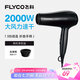 飛科（FLYCO）電吹風(fēng)機(jī)家用便攜冷熱風(fēng)護(hù)發(fā)速干吹風(fēng)筒2000w大功率FH6231