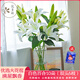 悅多彩AB級優(yōu)質(zhì)香水百合 家庭辦公室各色生活鮮花 昆明基地 現采直發(fā) 白色百合10朵（雙頭5枝）