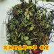 北京同仁堂中藥材肺心草四川野生肺心草別名梅花草肺筋草500g當(dāng)年新貨 250g