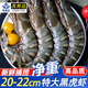 海速達海速達黑虎蝦超大鮮活速凍老虎蝦特大海鮮斑九節蝦新鮮冷凍基圍蝦 大號500g（16-18cm 15-18只）