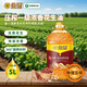 金鼎壓榨一級(jí)濃香花生油5L大瓶匠心精選系列正品中儲(chǔ)糧花生油 中儲(chǔ)糧金鼎壓榨花生油 1桶【5L】