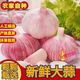 果臻鮮紫皮大蒜 2025年河南中牟紫皮大蒜 干蒜 可做糖蒜 臘八蒜 凈重5斤(果徑≥5cm)