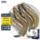 賣魚郎先生蝦 青島鹽凍大蝦凈重3.6斤 25-30只/斤 青蝦海蝦生鮮 蝦類