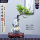 潮裕盆景小葉紫檀盆景老樁盆栽室內(nèi)外真樹庭院客廳綠植陽臺辦公室擺放好養(yǎng) 小葉紫檀盆景7 高端盆景/一物一拍