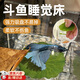 MDUG斗魚(yú)休息葉斗魚(yú)造景魚(yú)缸休息睡覺(jué)躲避葉仿真水草樹(shù)葉睡床裝飾擺件 大號仿真荷葉 6cm×4.5cm