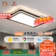 FSL佛山照明吸頂燈LED客廳燈北歐后現(xiàn)代鐵藝燈調(diào)色50423/132W 包安裝