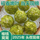 25年榆錢(qián)窩窩頭野菜粗糧早餐新鮮手工面食主食饅頭菜團子雜糧窩 2025頭茬現摘[高品質(zhì)+新特惠] 爆款特價(jià)[20個(gè)精品]春季限定嘗鮮