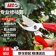 愛麗斯（ARS）120DX 修枝剪刀 果樹剪 剪枝剪 園藝工具 園藝剪 花剪園藝剪刀