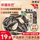 老街口原味瓜子500g(七分熟)健康休閑零食堅(jiān)果炒貨新貨大顆?？ㄗ研〕? title=