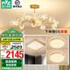 雷士（NVC）北歐現(xiàn)代輕奢智能網(wǎng)紅led螢光客廳吊燈餐廳吊燈中山燈具燈飾套餐 螢光 15頭智能吊燈 【三室一廳】