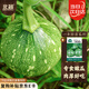 北蔬 小南瓜種子苗早熟花皮嫩南瓜小青瓜蔬菜種籽 一串鈴南瓜種子20粒