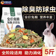 麥?zhǔn)嫣赝眉Z兔子專用飼料5斤荷蘭豬幼兔糧垂耳兔糧食10斤寵物通用抗球蟲 5斤兔糧 1個(gè)月-3個(gè)月