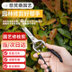 悠梵萌園藝剪刀修枝剪盆景修剪修花剪刀園林剪樹木工具省力直柄尖嘴
