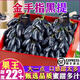 【順豐速運】新鮮藍寶石金手指葡萄 無籽葡萄 新鮮水果現(xiàn)摘現(xiàn)發(fā) 3斤