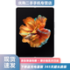 小米 MIX FOLD 二手折疊屏手機(jī) 小米折疊屏5G手機(jī) 2K+分辨率 驍龍888 一億像素 黑色【95新】送快充套裝 12G+512G【建議購(gòu)買(mǎi)碎屏險(xiǎn)】 95新
