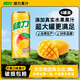 綠力臺灣果汁飲料水蜜桃紅芭樂(lè )番石榴檸檬維c水果味飲品露營(yíng)小聚果汁 【芒果汁】490ml*6罐