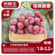 京鮮生云南妮娜皇后葡萄1.8-2.2斤裝單果8g+葡萄提子生鮮水果源頭直發(fā)