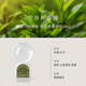 EVERSHINE晴天大白倒立香薰空氣清新劑廁所衛(wèi)生間香氛除臭劑去異味室內(nèi)臥室 空谷禪茶盞350ml