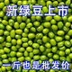 25年東北新貨大綠豆5斤農(nóng)家新鮮小綠豆發(fā)豆芽煮粥湯易沙夏天新豆 東北農(nóng)家綠豆【5斤】