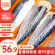 美加佳挪威青花魚片凈重2斤（8-10片）鯖魚片 獨(dú)立包裝 去頭去尾去臟